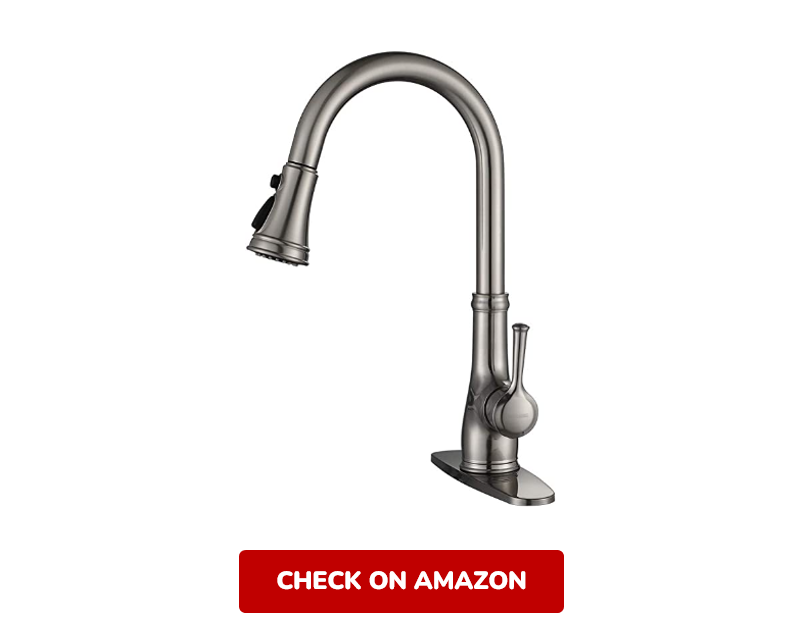 WEWE Single Handle Kitchen Sink Faucet