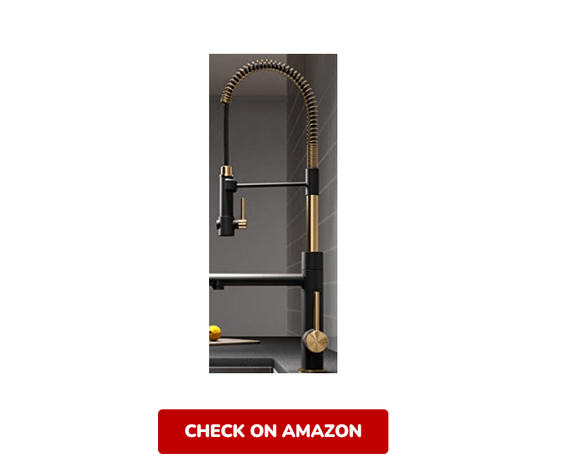 Kraus Kitchen Faucet